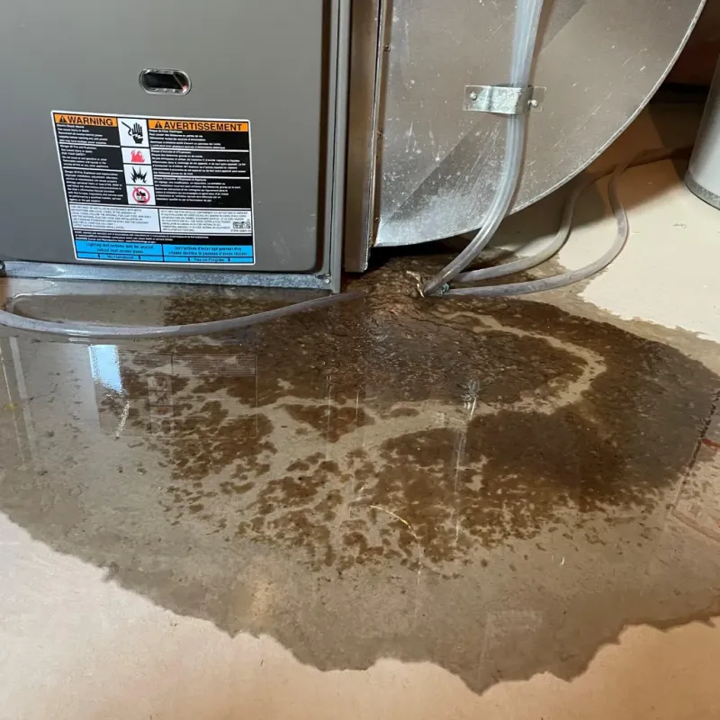 Appliance Leak Cleanup in Bargersville, IN